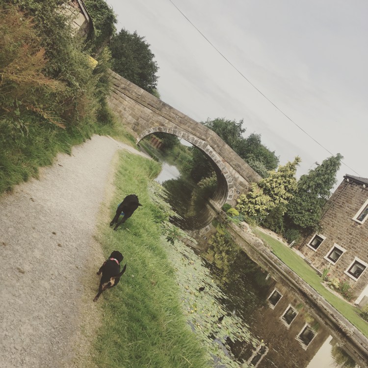 778C6758-B53F-4A3C-A372-3D954053AA2E